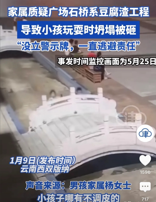 云南西双版纳，两名幼童在农场的一处石桥玩耍时，因为顽皮，直接开始摇晃石桥的护栏，