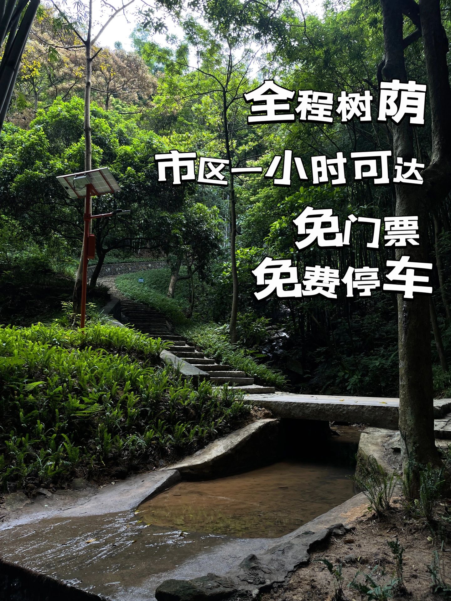 广州全程树荫徒步｜油麻山森林公园攻略！