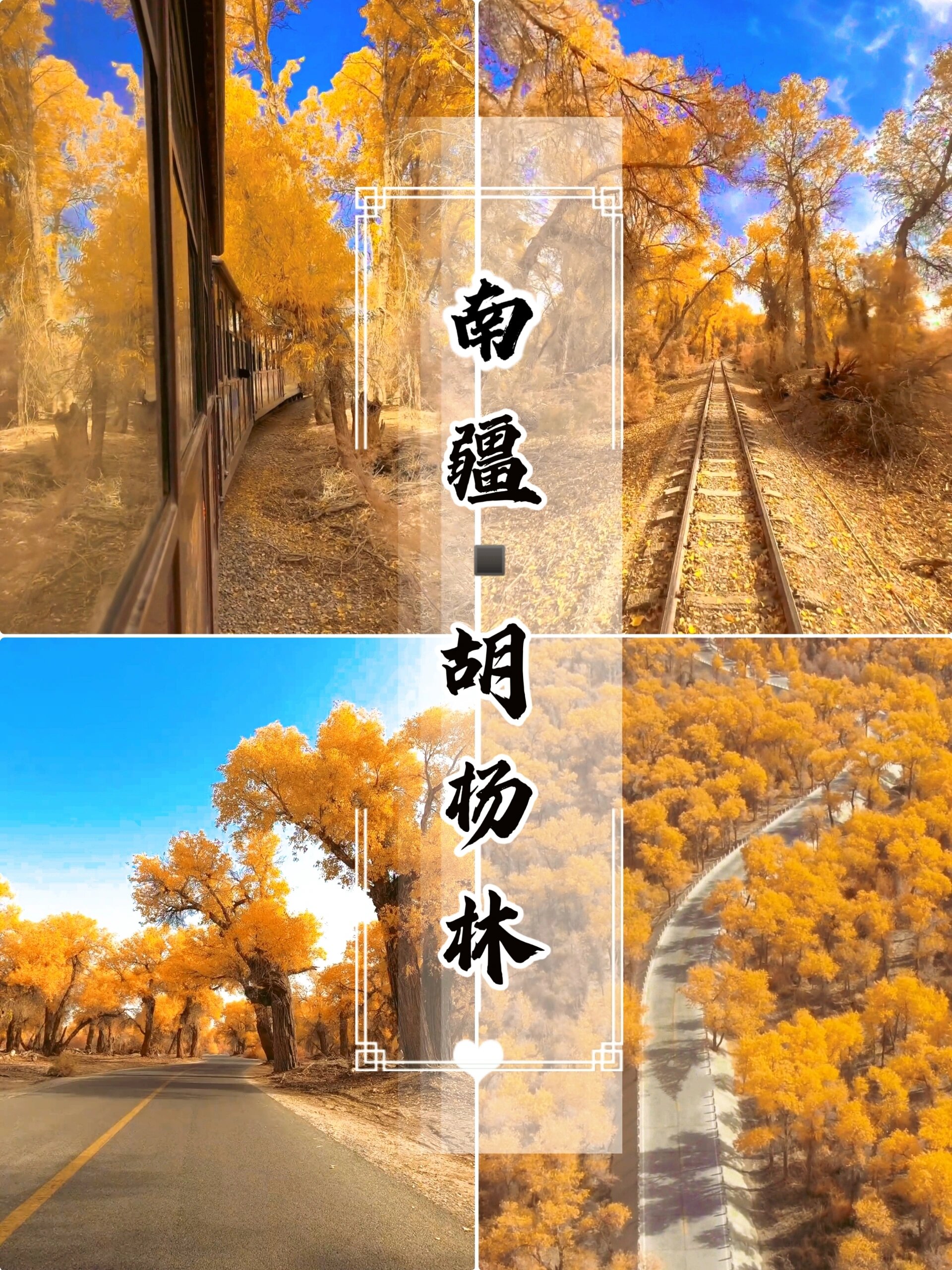 秋天当然要去南疆看胡杨林呀‼️