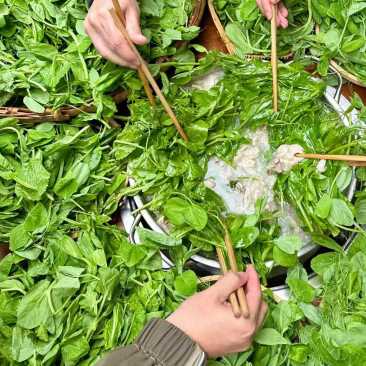 这放在整个火锅界都很炸裂