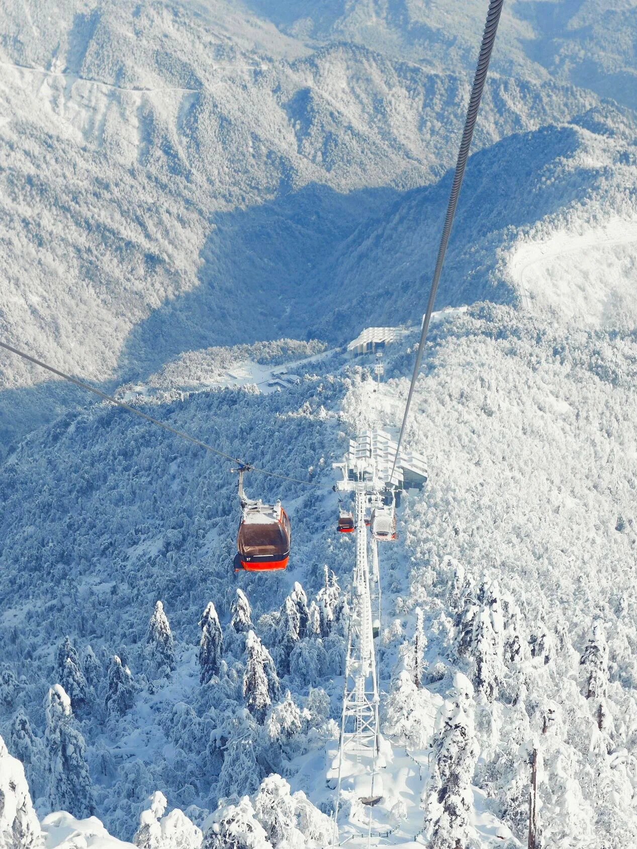 啊啊啊，我宣布这是成都周边最好看的雪景‼