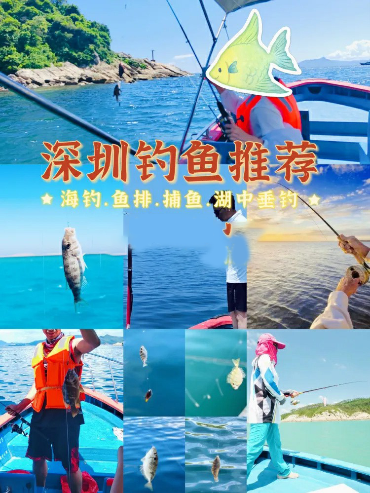 深圳钓鱼场地推荐|鱼排海钓|出海钓鱼捕鱼