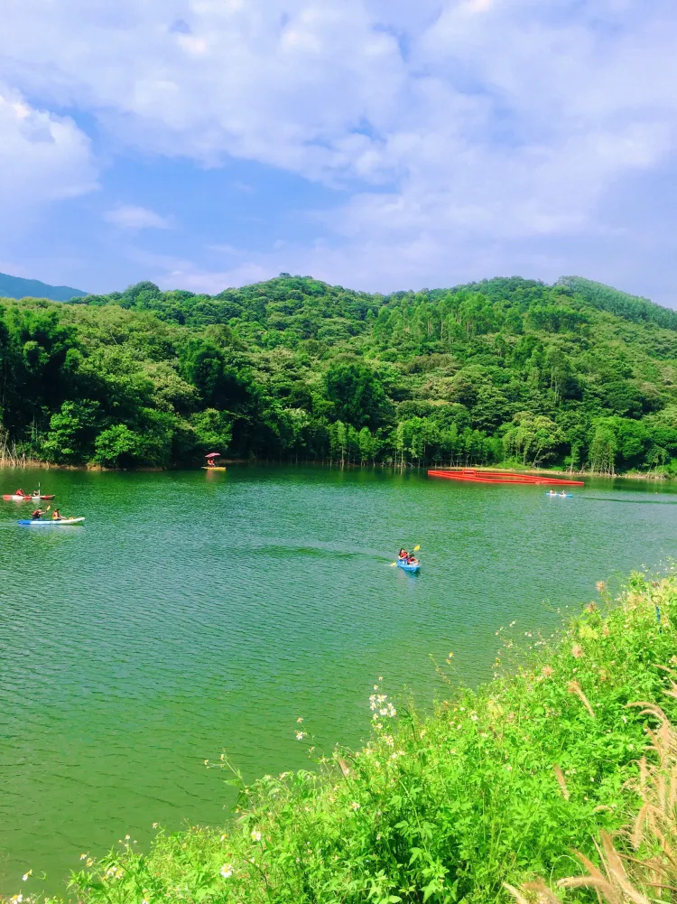 广州周边游｜🔥周末放肆玩❗️浆板皮划艇
