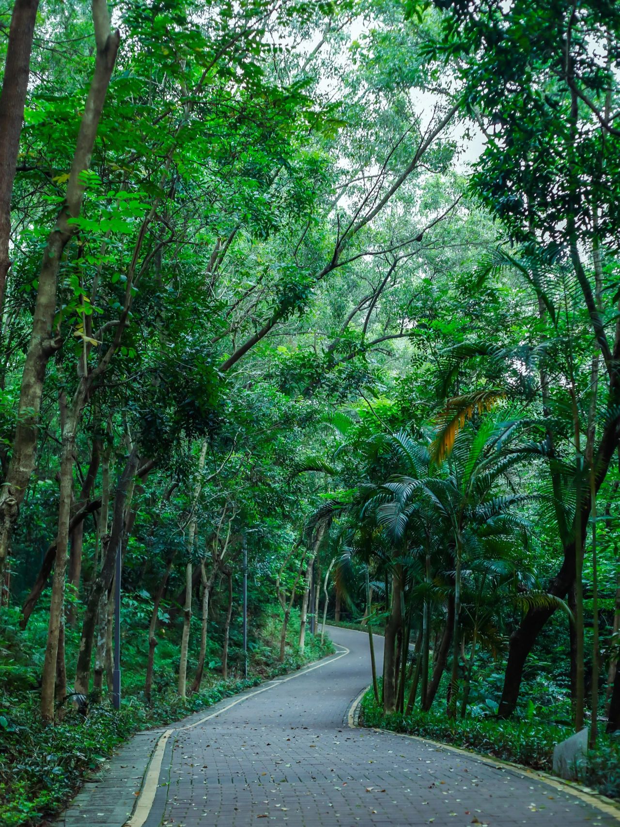 今年走过的最舒服的绿道，入口和路线说明