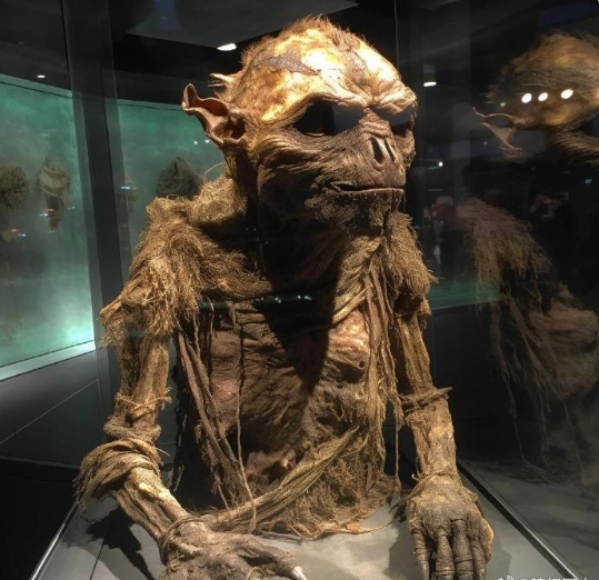 爱尔兰神话生物木乃伊博物馆位于都柏林猎狐街32号，里面收藏了超过1000具神话生