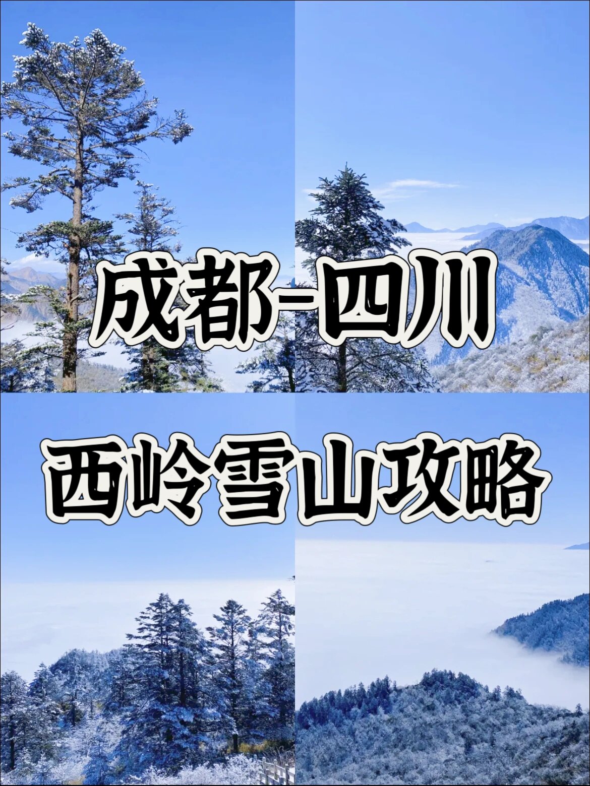 这不是阿尔卑斯山❗️这是成都❗️西岭雪山