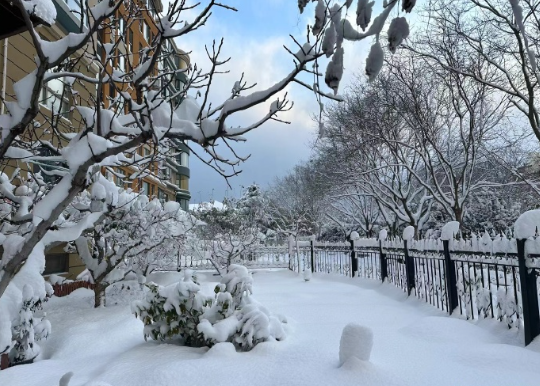 烟台大学线上赏雪 ​