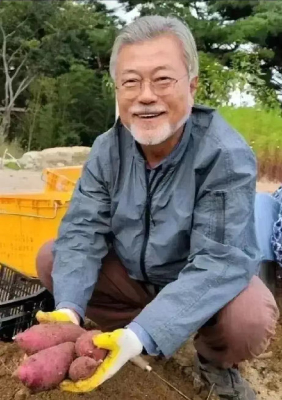 文在寅唯一逃脱青瓦台魔咒的韩国前总统，如今过起闲云野鹤的退休生活，按照韩国法律规