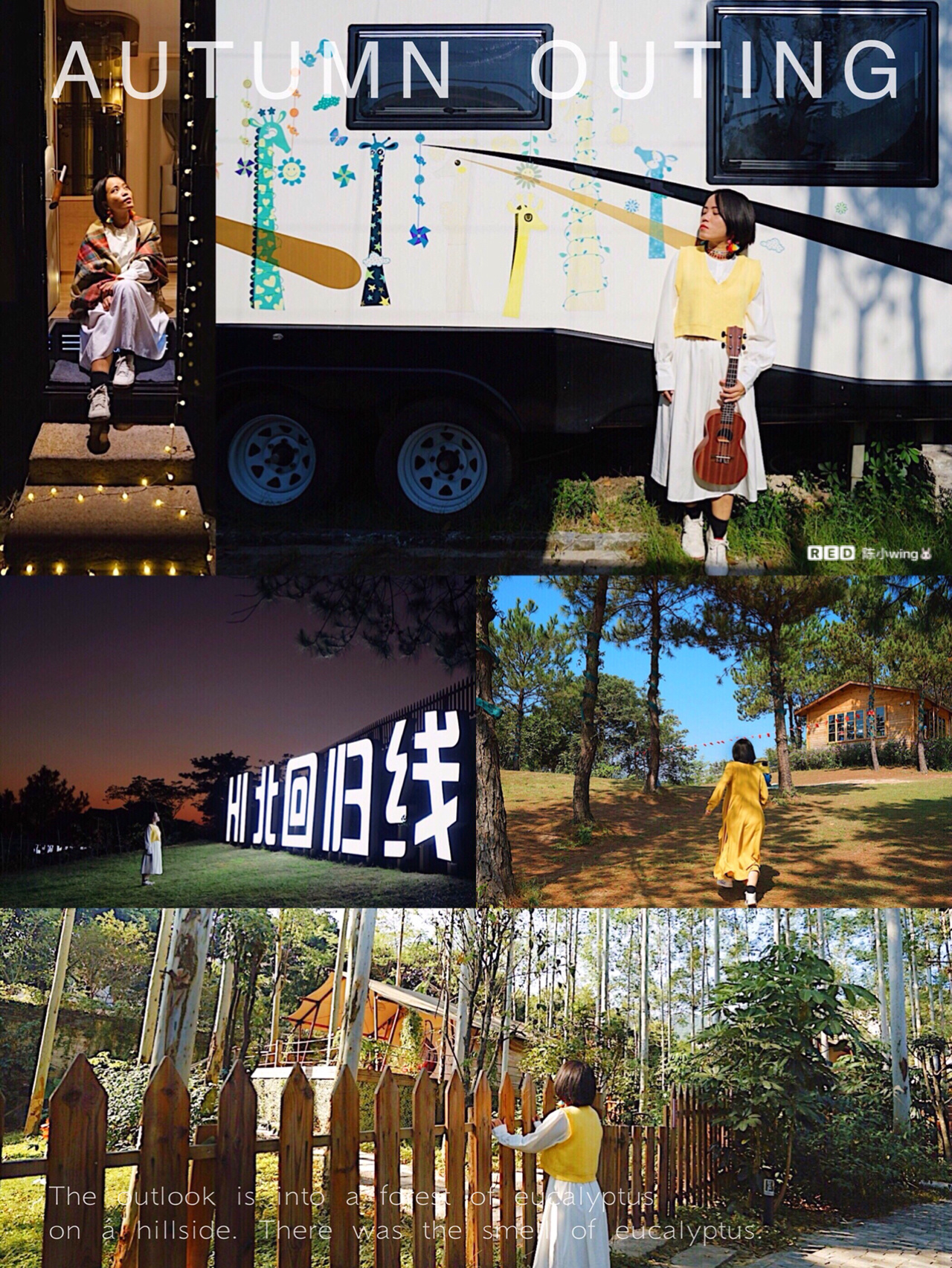 广州玩乐⛺️房车帐篷森林