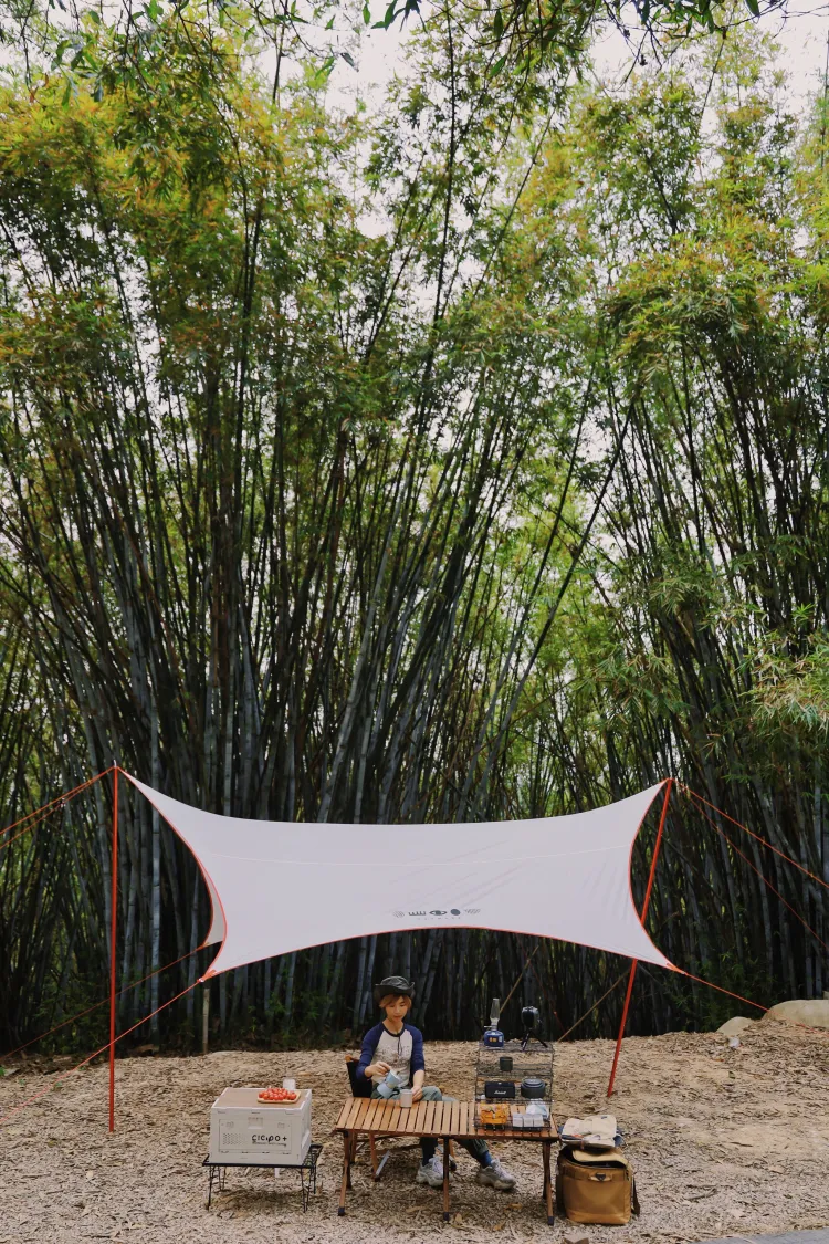 广州轻量化露营跑到出竹林山野里吸氧~