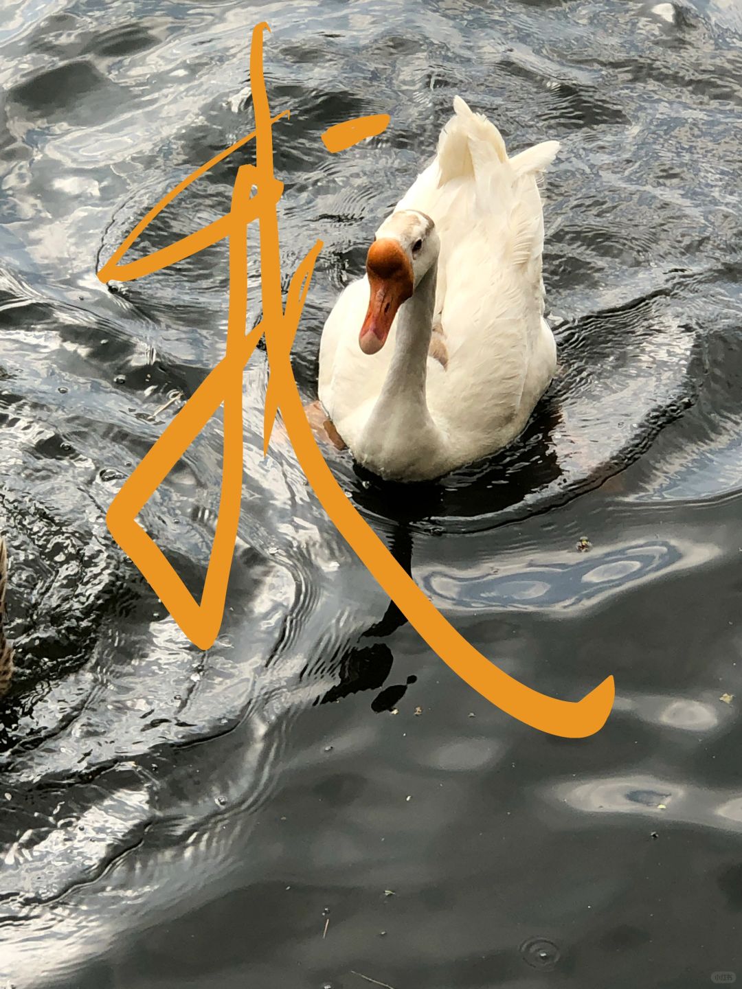 想看看大家的涂鸦照片
#涂鸦

我们不是无聊的大人
是生活的小画家#涂鸦照片 #