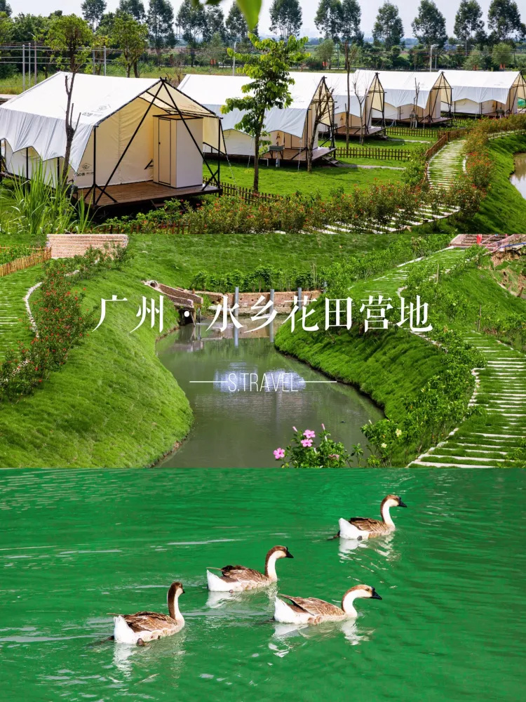 我愿称之为广州露营拓展天花板❗超全攻略❗