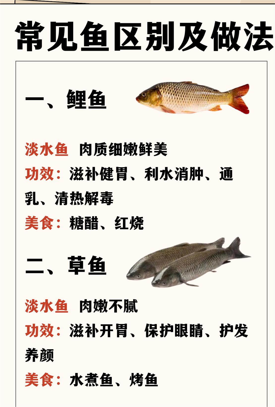 常见鱼区别#鲈鱼是淡水鱼还是海鱼#