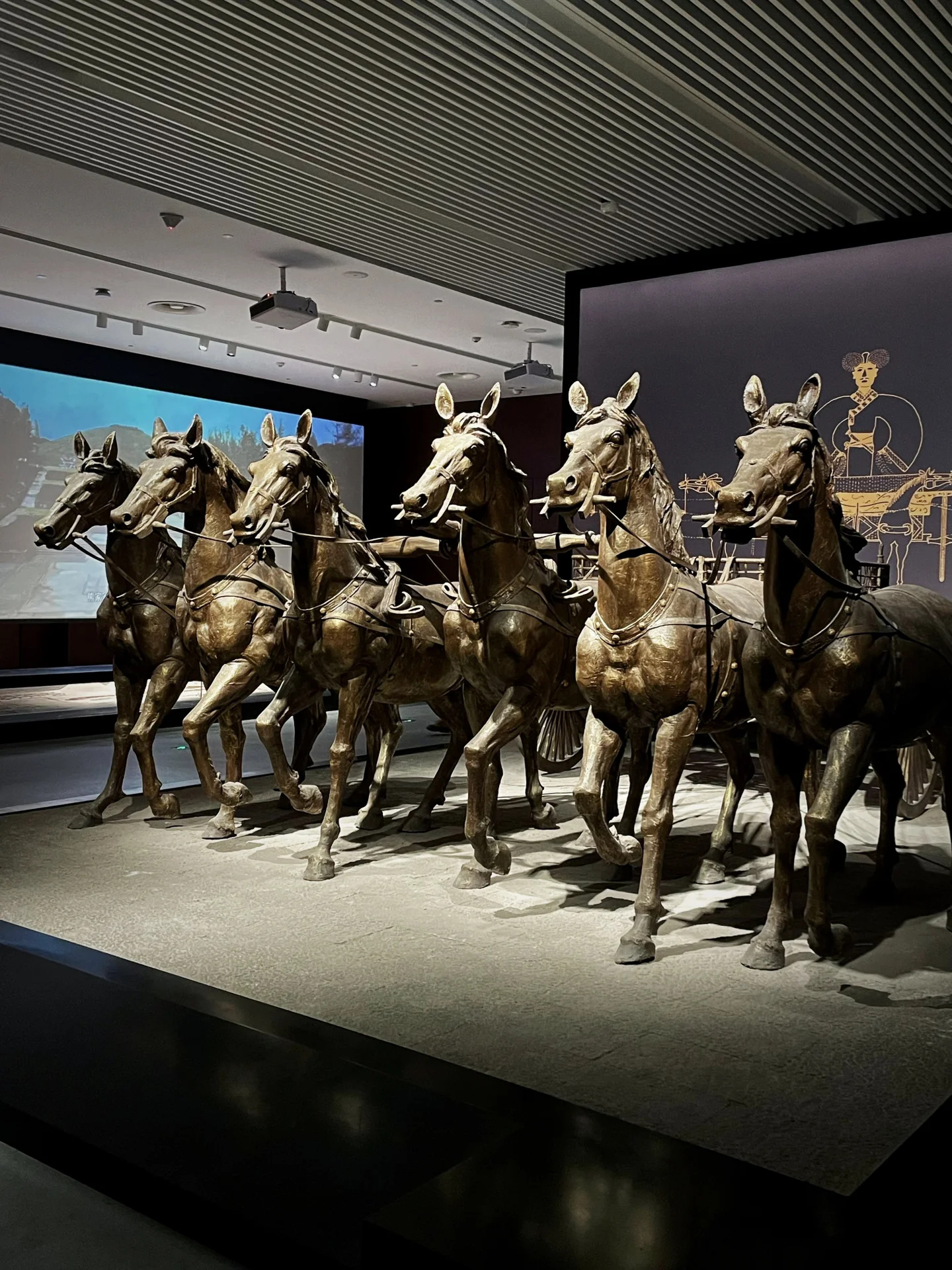 武汉旅游｜湖北省博物馆📝附游玩攻略