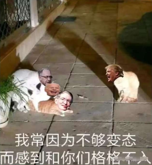川普被孤立的原因找到了 ​​​