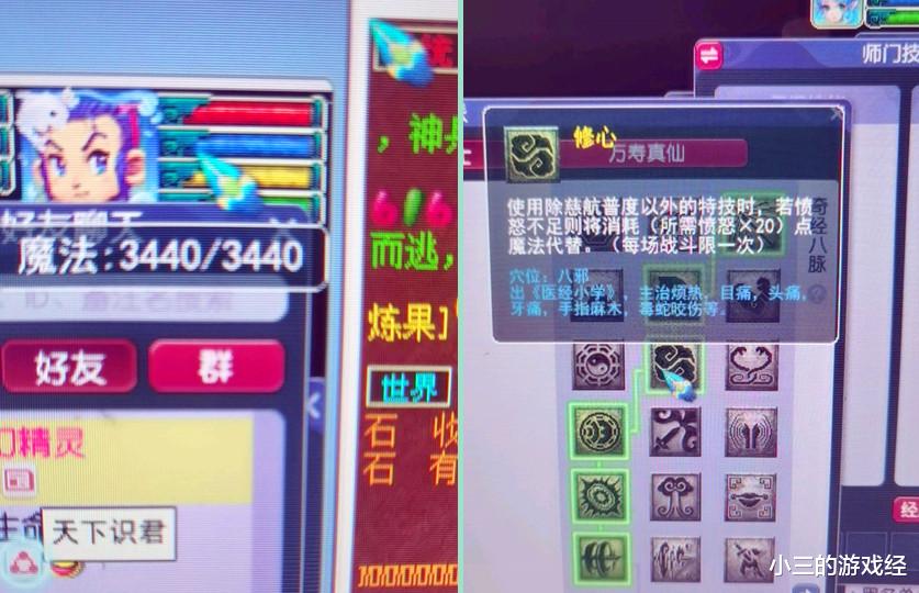 梦幻西游：两技能的野生芙蓉仙子藏宝阁900被秒，这笔交易有问题