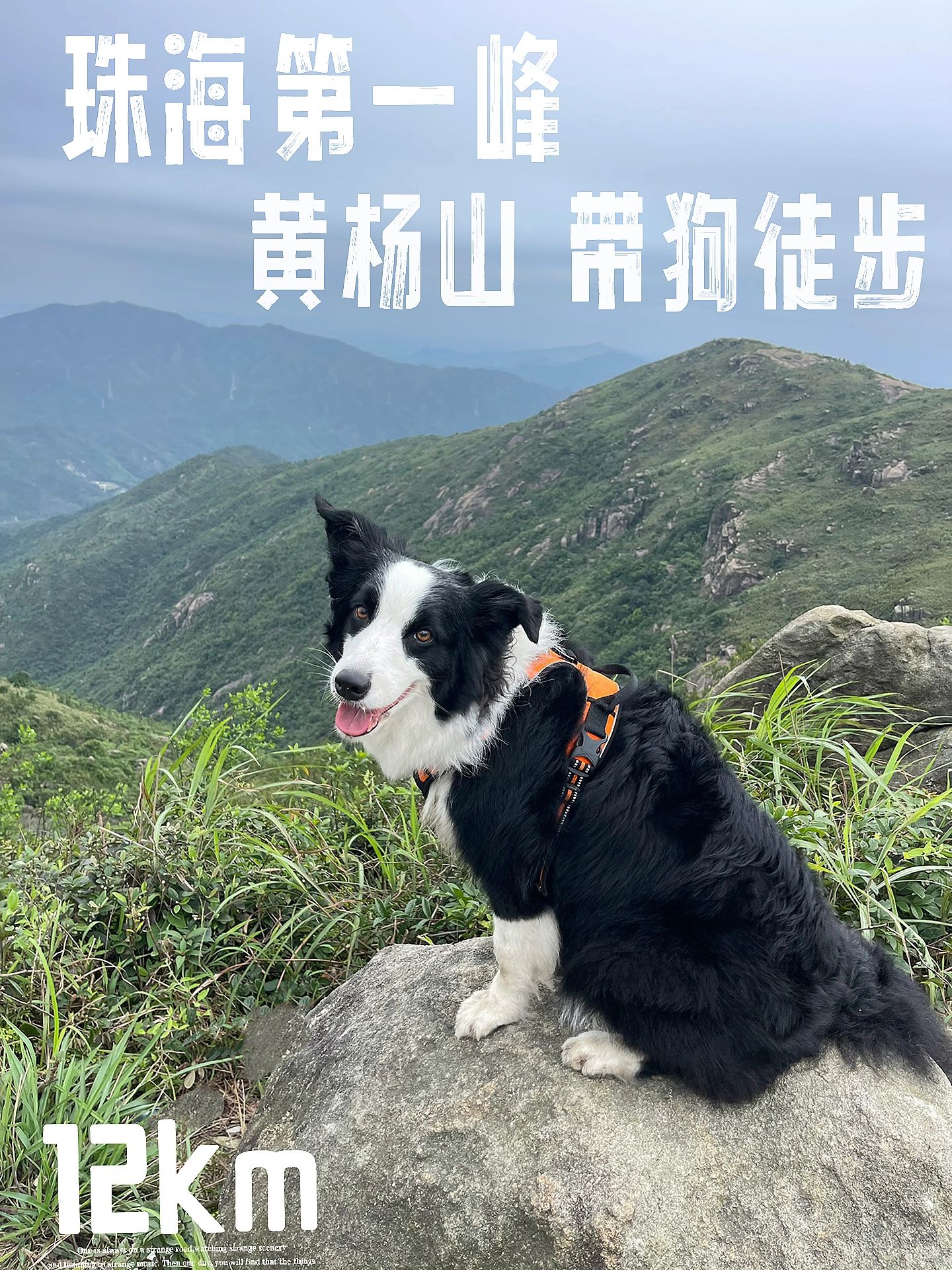 珠海第一高峰｜黄杨山 溯溪带狗徒步