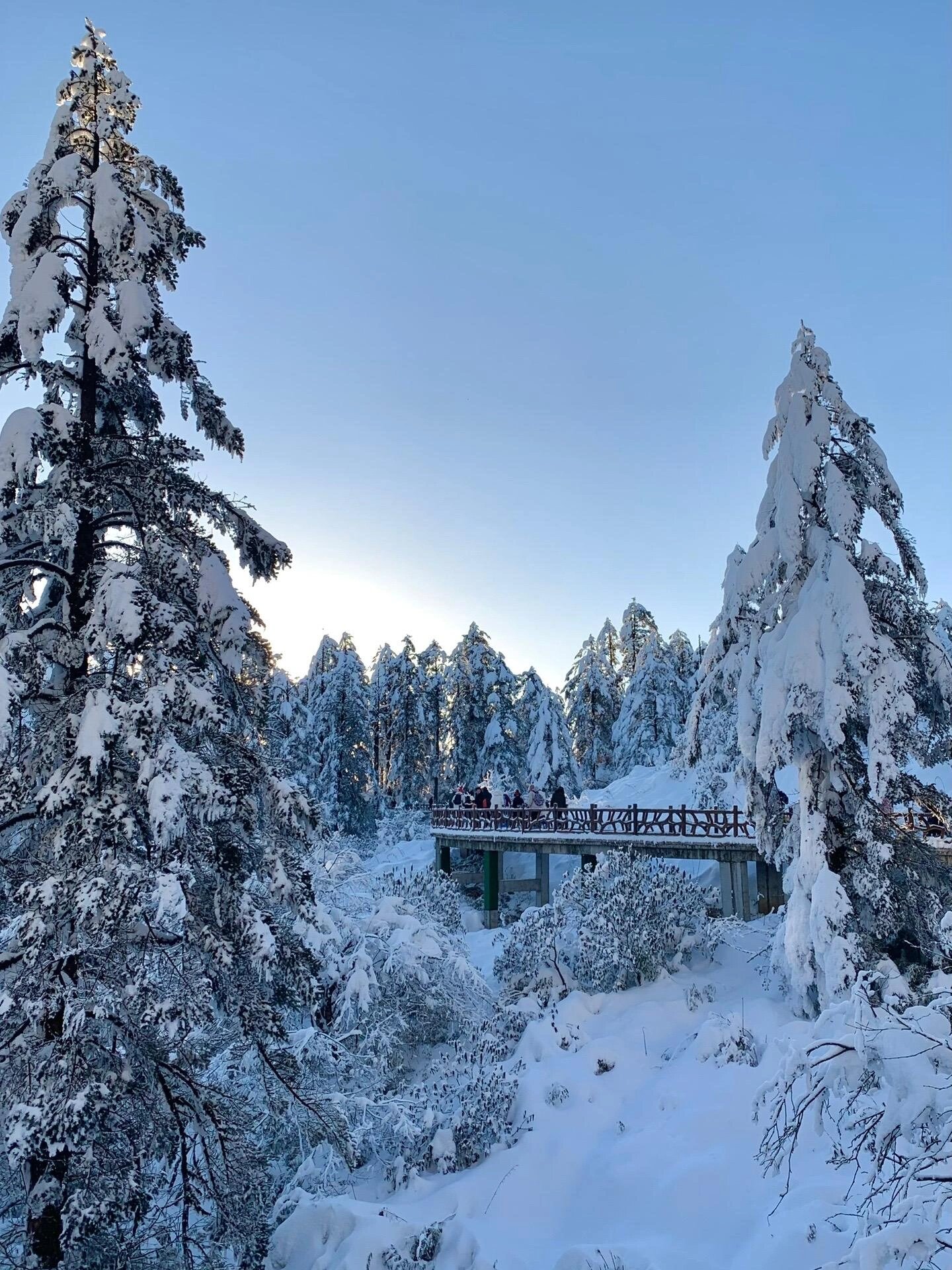 据说 这里是绵阳周边 玩雪赏雪的天花板