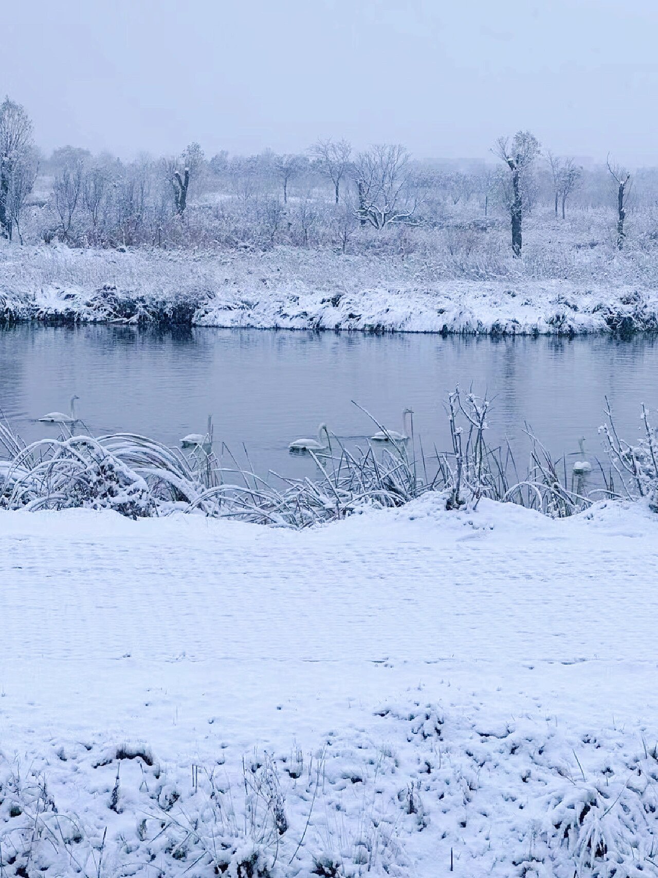 广东人必去高铁2h直达，不去北方也能看雪