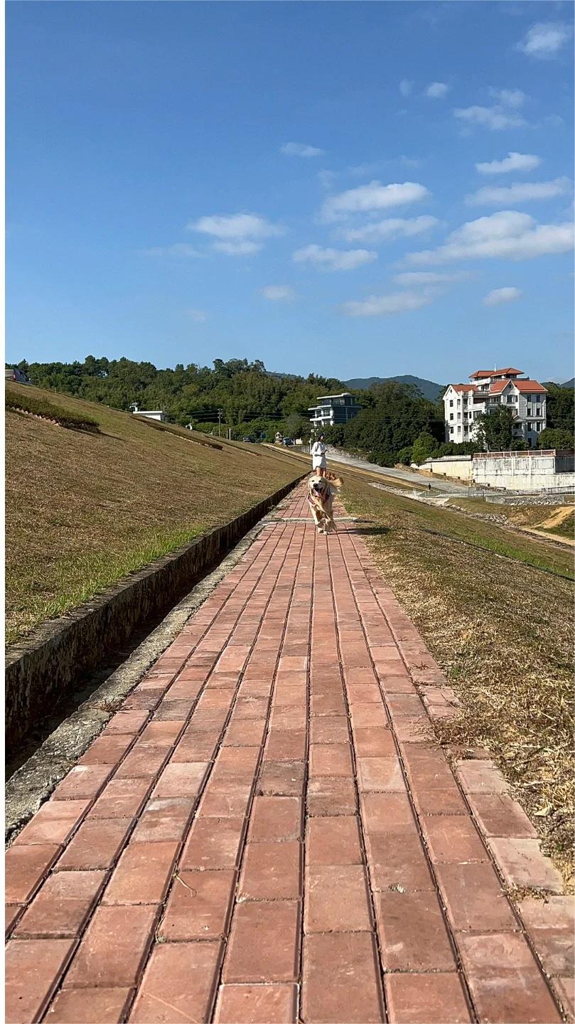 距市中心1个小时的水库｜🉑️带狗、露营