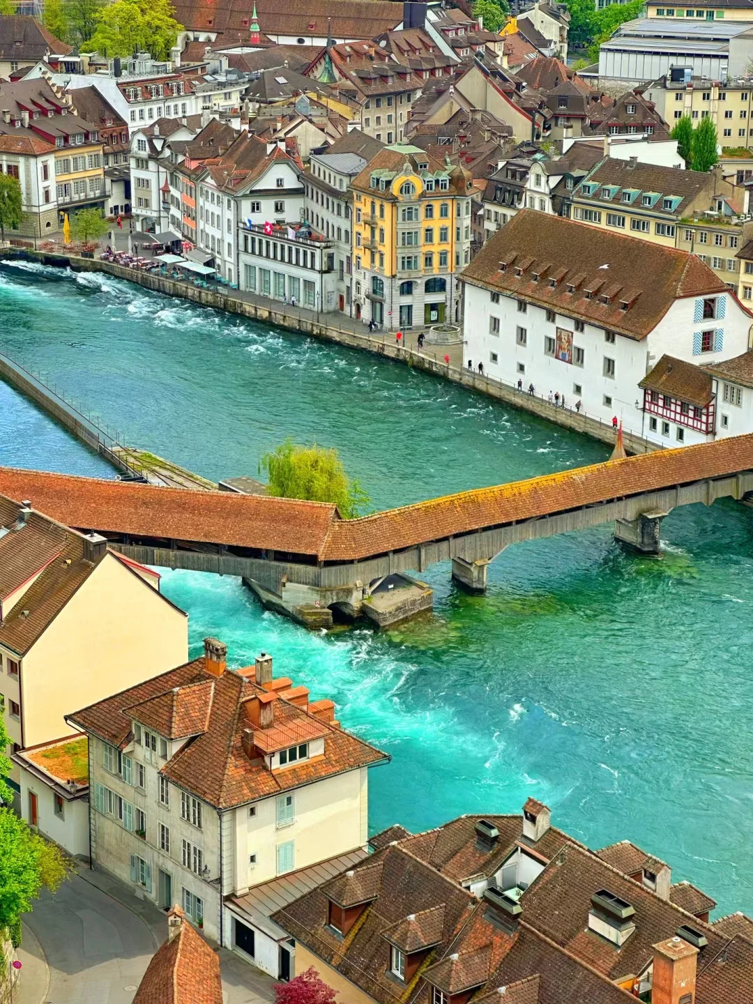 总要来一次瑞士吧 ❗苏黎世—卢塞恩这么玩