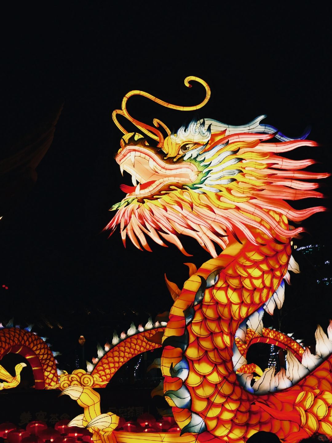 🔴富士｜龙年灯会🉐相机参数分享
🔺龙年逛灯会小红一下🔻
🔴红色和龙🐲