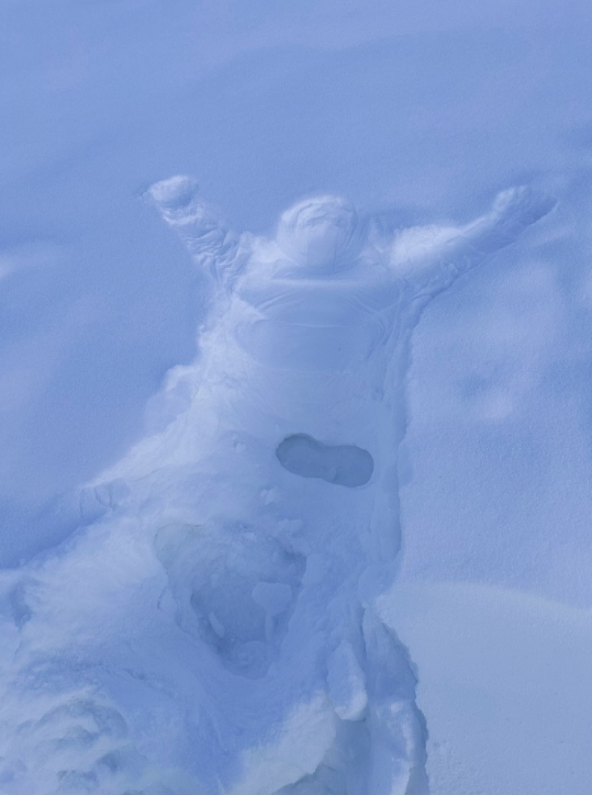 别浪费了人生这张门票，看雪吗？我请客