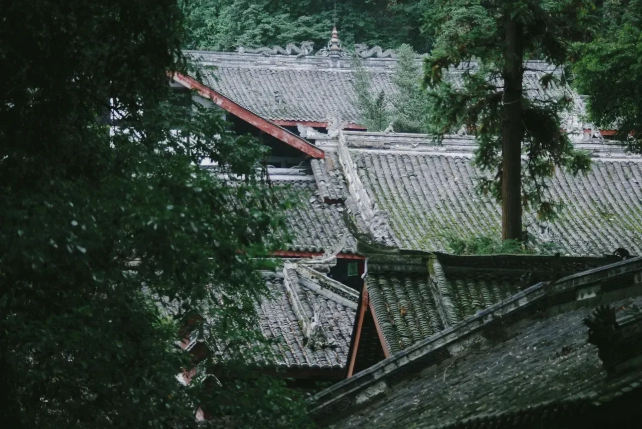 色是刮骨钢刀，财是下山猛虎，为了钱和色，男主持与女主播发生不正当关系，主播夫妇反