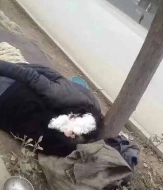 太变态了！太变态了！

某地一男子喝醉酒躺在马路上不省人事，万万没想到被一个流浪