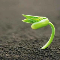 昨天今天与明天