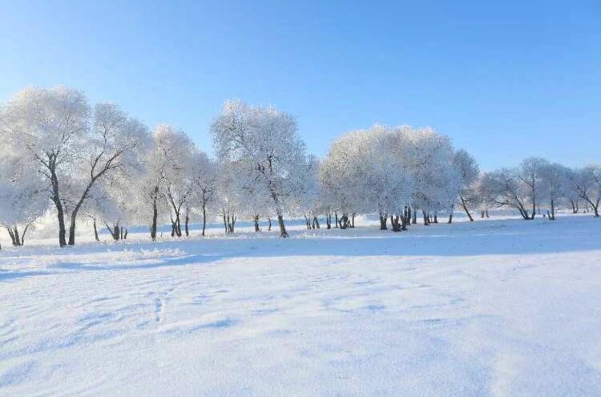 南方人为什么这么喜欢雪？
