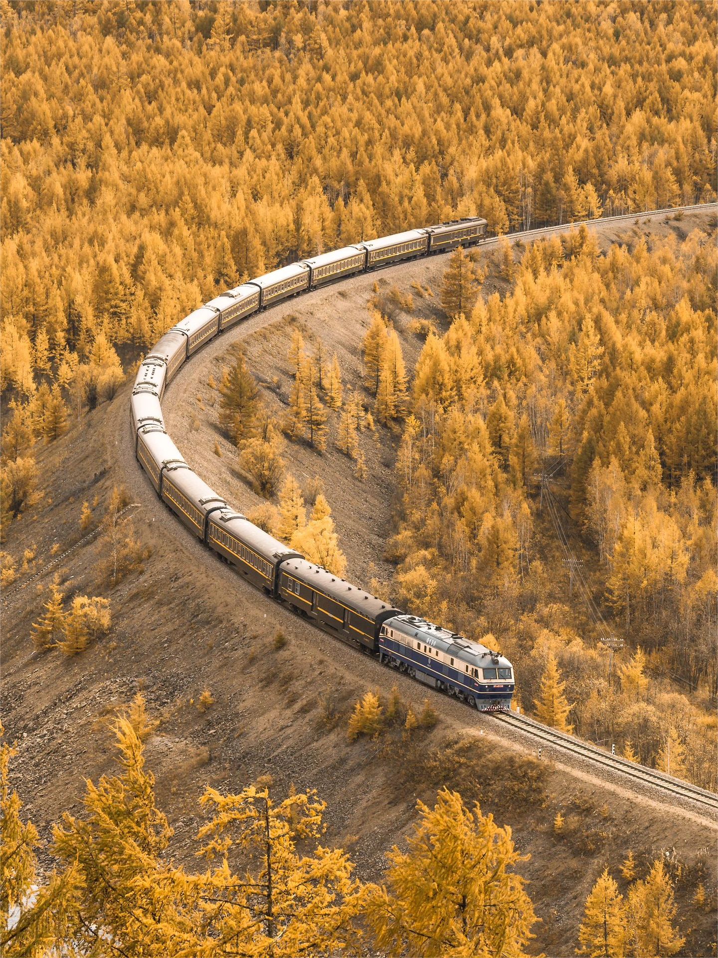 走！坐上秋日的列车🚆，去旅行！