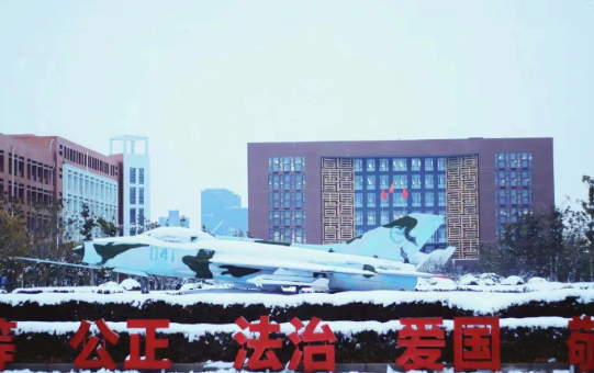 【入眼成画，与您分享一批冬雪美景图！】
又是一年冬来到
当冬天的第一场大雪落下
