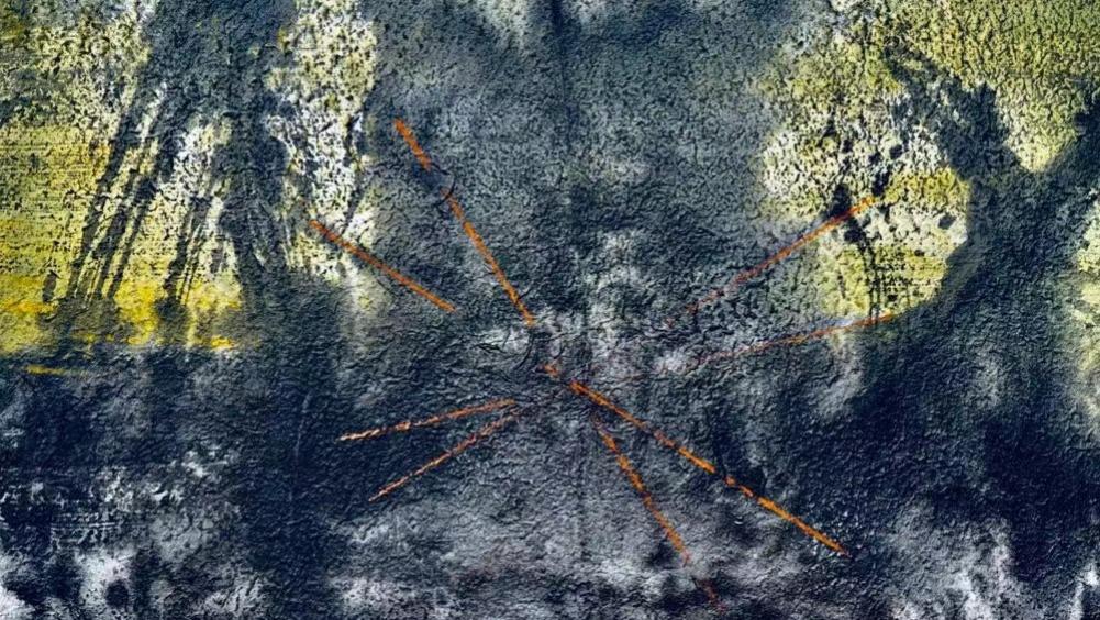 国际艺评人特里斯.麦考尔与艺术家李晓强的短暂相遇