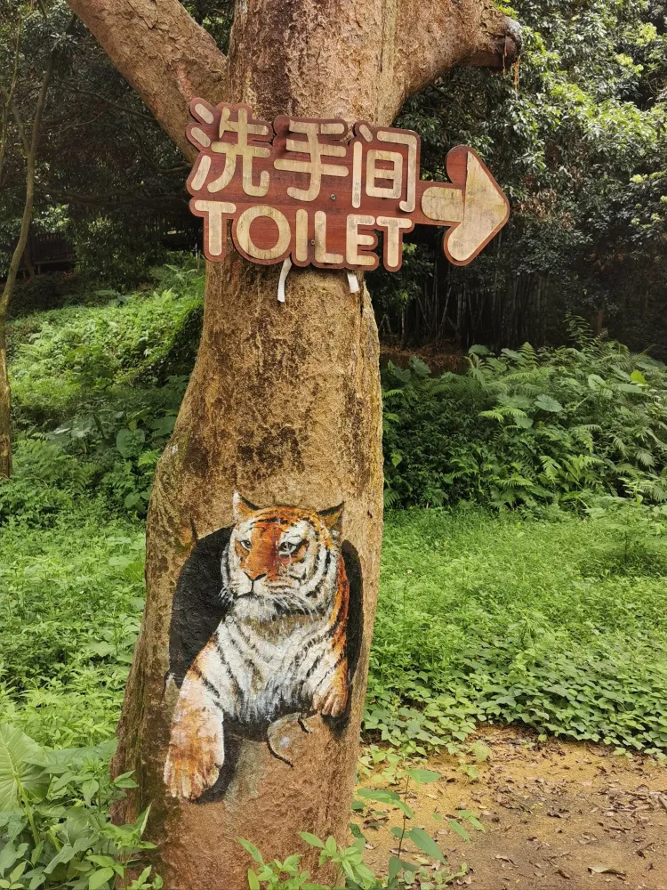 有山有小溪有好多“小动物”亲子徒步好地方