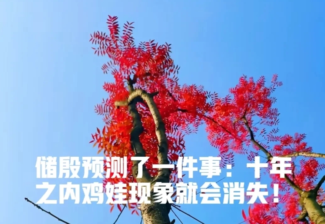 网红教授储殷预测了一件事：十年之内鸡娃现象就会消失。他表示，10年后的百姓会接受