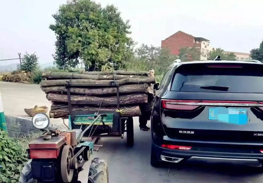 好小子！ 交警来了，只怕也无法定罪吧！