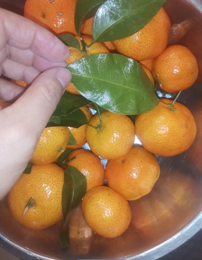 早上买的沙糖桔，叶子反正面都是亮的。
当时看颜色特别亮，以为刚摘的，开心地一边赞