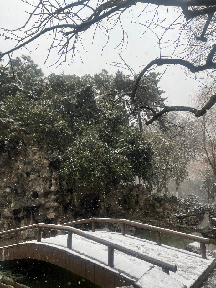 ❄️雪一落就美成了诗～