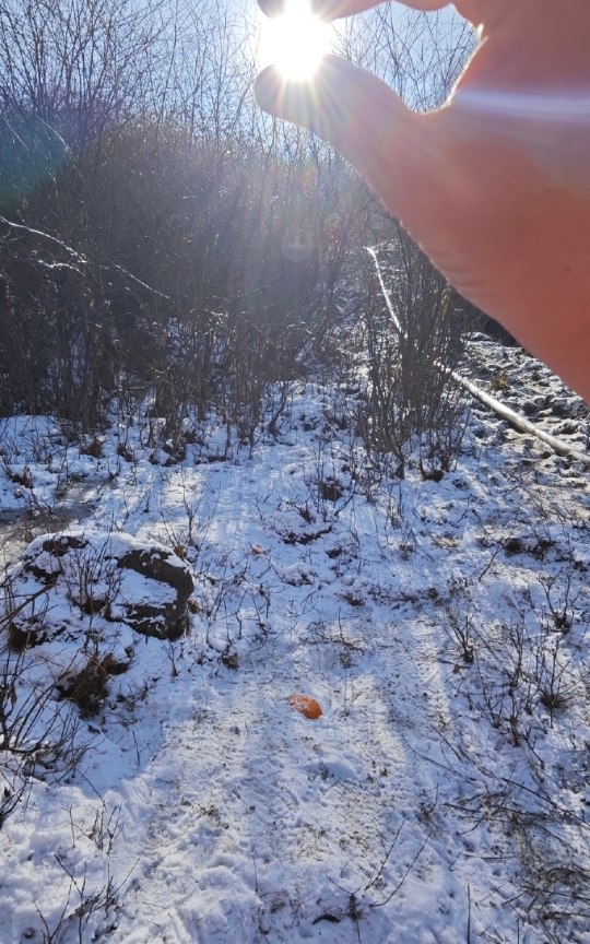 总有人翻山越岭为你而来
九鼎山徒步赏雪 ​