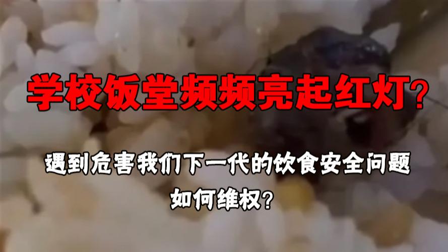学校饭堂频频亮起红灯？遇到危害我们下一代的饮食安全问题，如何维权？