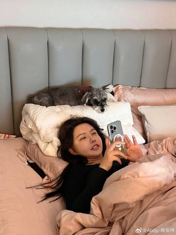 小狗不会说话 只会充满爱意的看着你陪伴你 ​