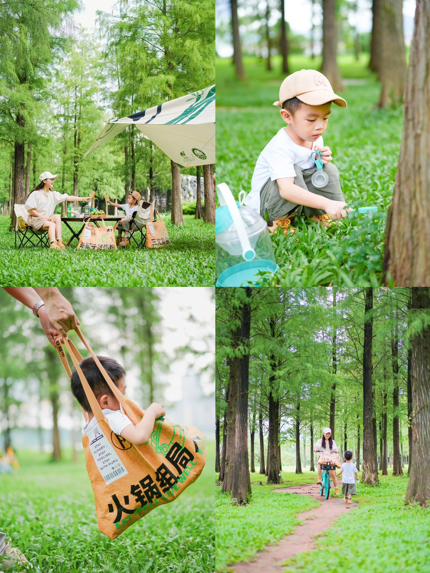亲子露营🏕️市区内去次都不会腻的小森林
