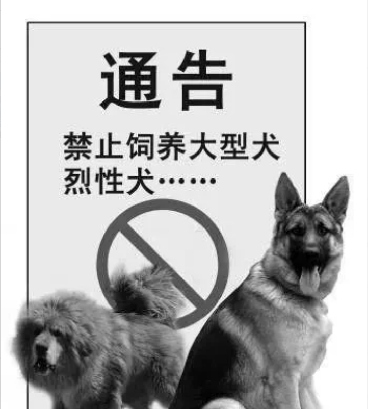 禁狗令来了，重庆反应太快了！四川小女孩被恶犬撕咬后，重庆直接发布了“禁养烈性犬种