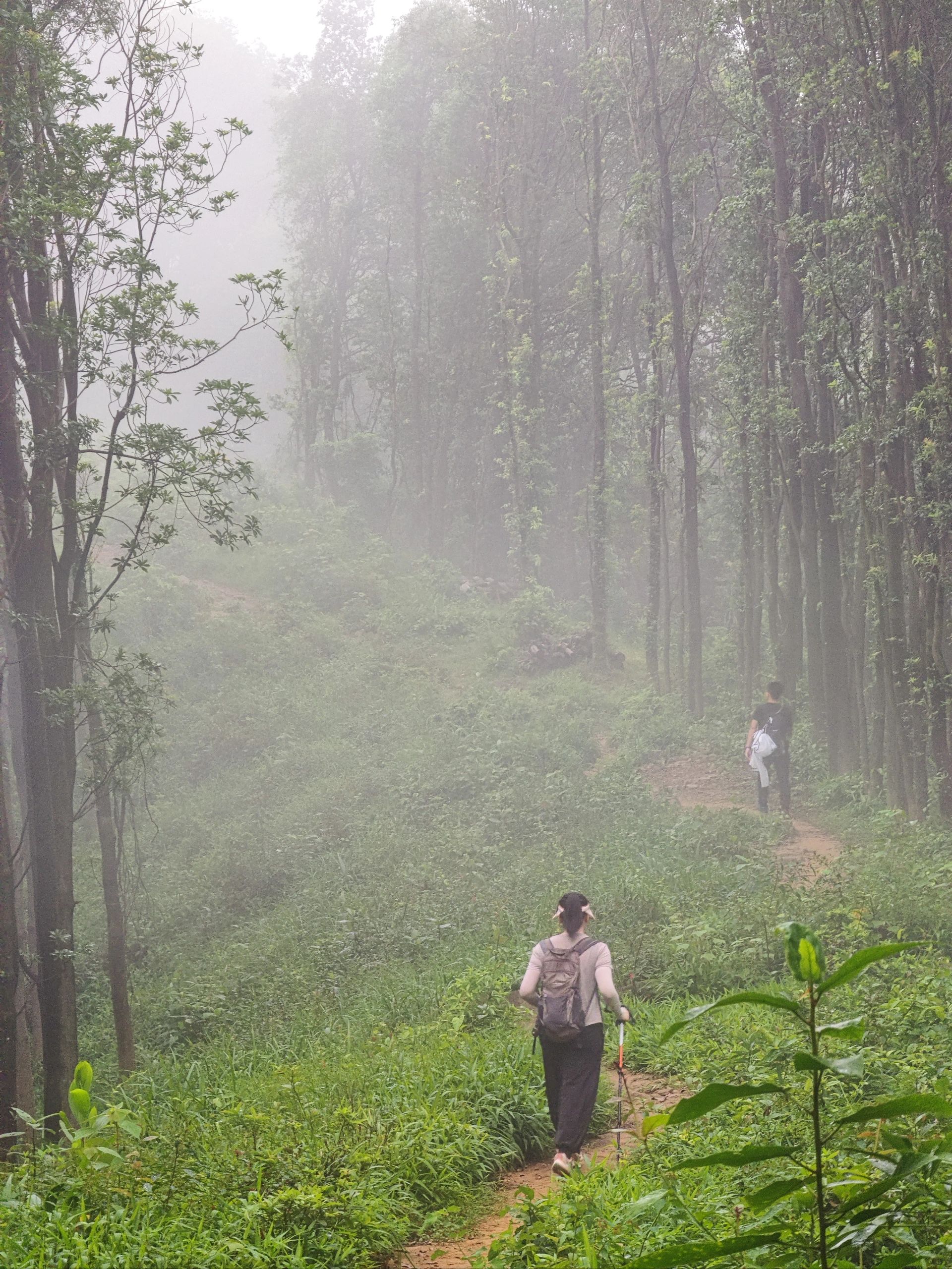 2023年第3次徒步:龙渔线