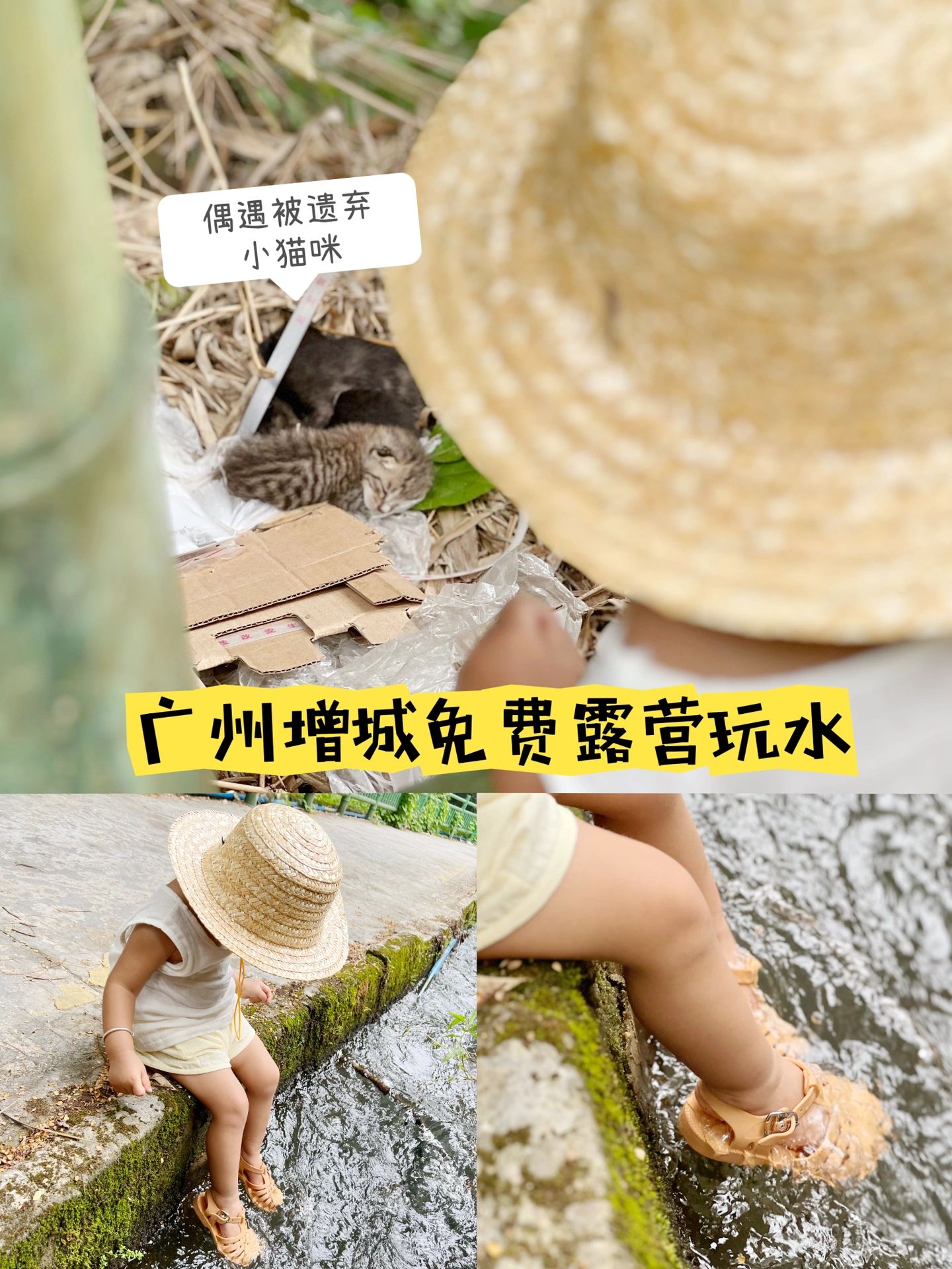 广州增城人少免费玩水｜偶遇被遗弃小猫🐱
