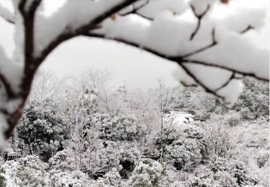 贵州2024年第一场雪，多地大到暴雪，请注意防范！