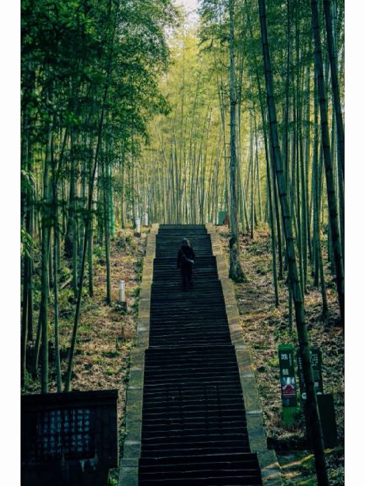 赤水超适合汉服拍照打卡的地点