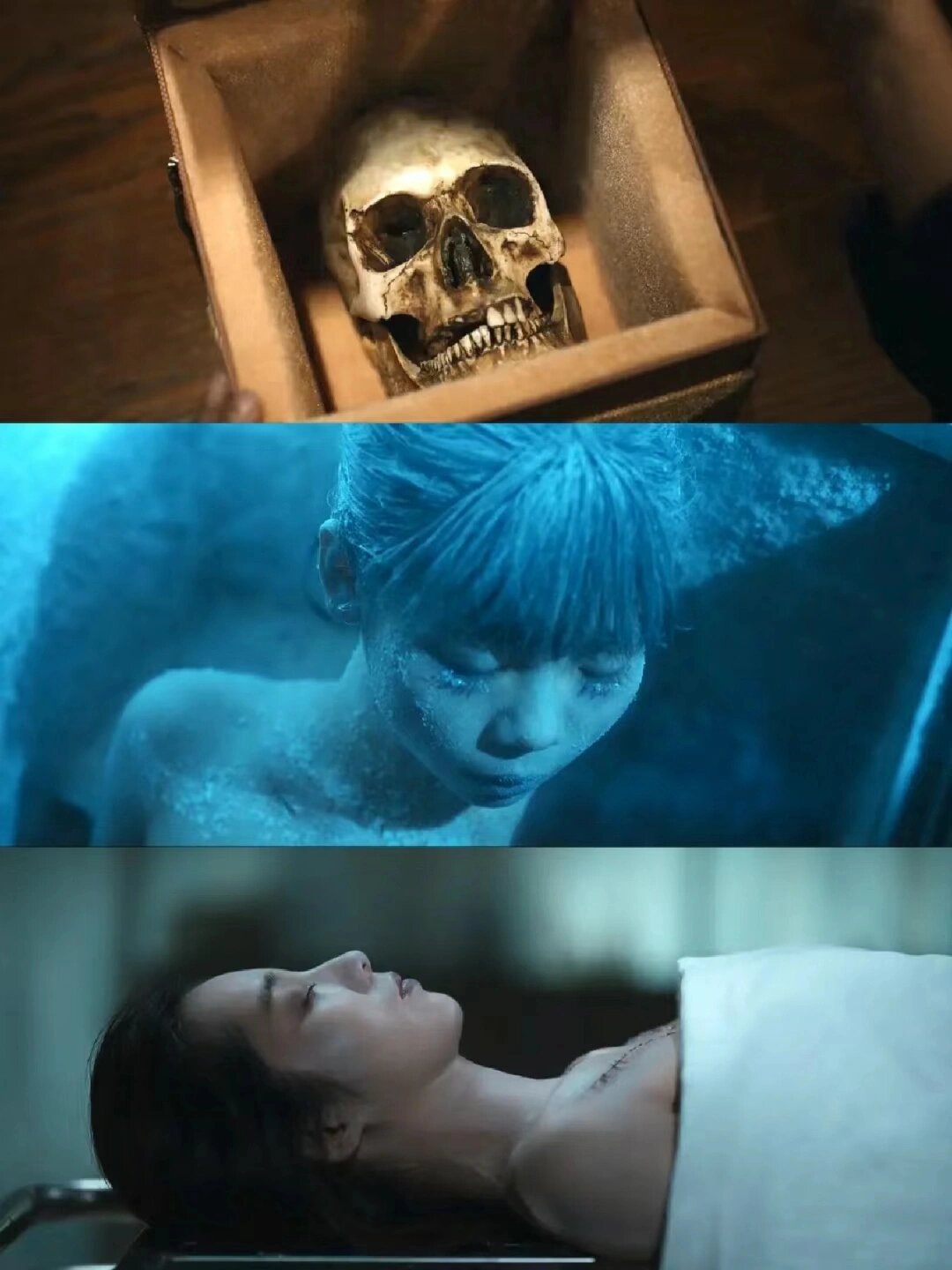 鲨疯了！悬疑剧，全部已播