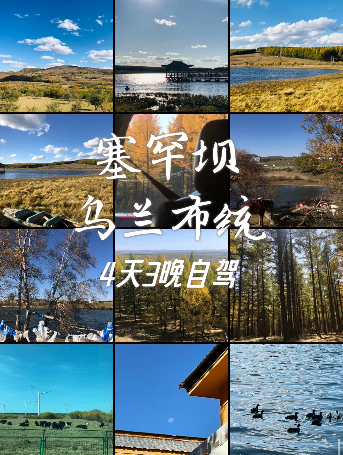 乌兰布统4天3晚自驾，被满满秋色包围